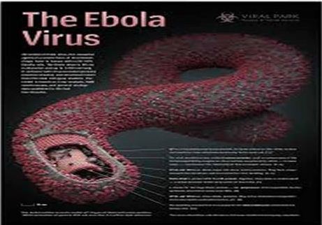 Ebola Virus